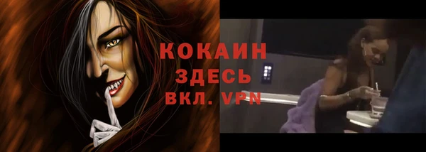 сатива Болхов