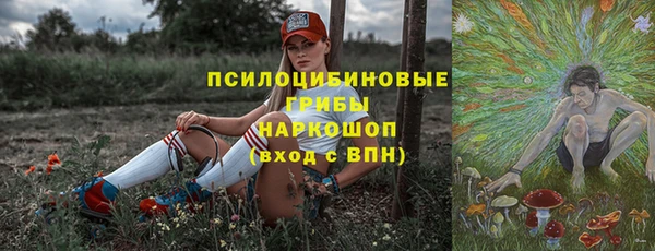 ГАЛЛЮЦИНОГЕННЫЕ ГРИБЫ Нягань