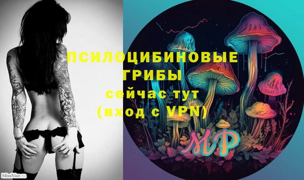 герыч Болохово