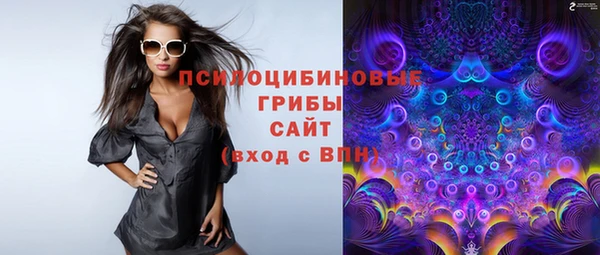 2c-b Новодвинск