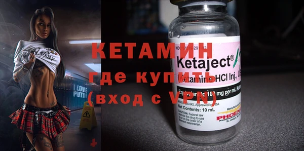 сатива Болхов