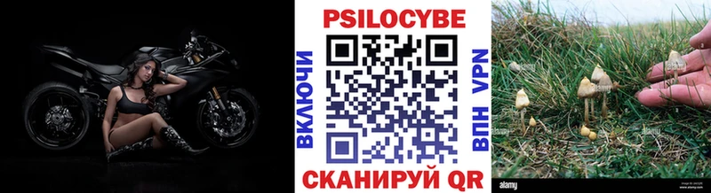 Псилоцибиновые грибы Magic Shrooms магазин продажи Торжок